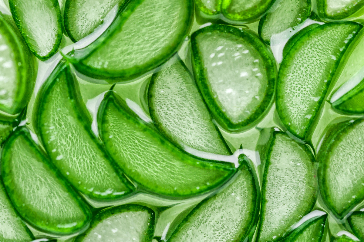 Beneficios del Aloe Vera en la piel
