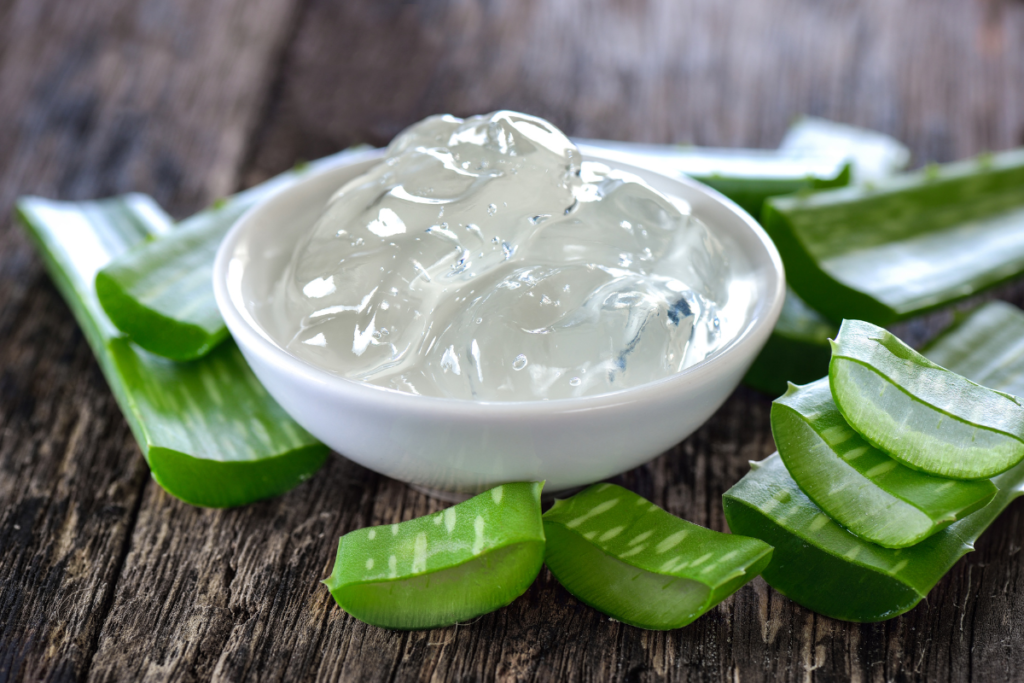 Aloe vera en colors